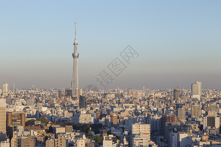 涩谷城市景观摩天大楼高清图片