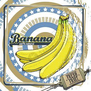 一串香蕉水果标签绘画艺术横幅广告牌草图香蕉红色丝带插图标语设计图片