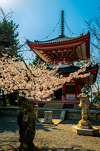 日本寺庙旅行发挥异国花园阴影传统信仰宗教情调背景图片