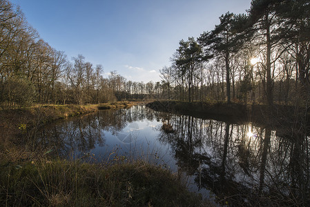 荷兰的自然储备 荷兰高清图片