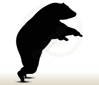 熊背影白色背景的动物熊圆背影插图宠物背光草图绘画剪贴冒充阴影姿势黑色设计图片