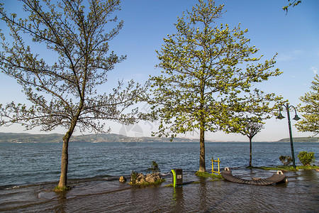 萨卡里亚萨潘卡湖液体公园海湾环境地平线植物溪流高清图片