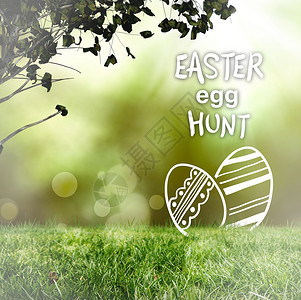 复活节鸡蛋狩猎图形综合图象活动糖果场地绿色农村巧克力背景图片
