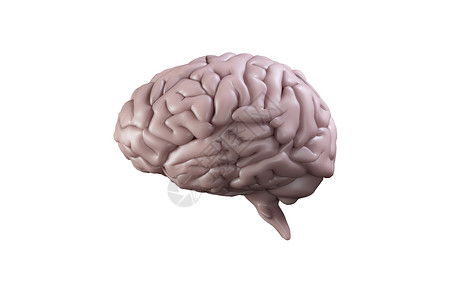 数字生成的大脑智力计算机人体绘图背景图片