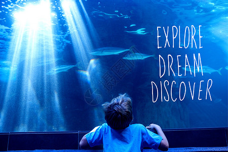 用心生活探索 梦想 发现的复合图像童年生物学鱼缸专注环境男性水族馆海上生活乐趣动物背景