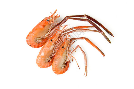 煮水河虾烹饪贝类美食食物白色饮食营养海鲜橙子背景图片