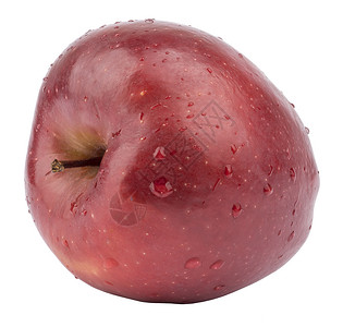 红苹果 带有树枝背景图片