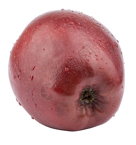 红苹果水果健康枝条背景图片