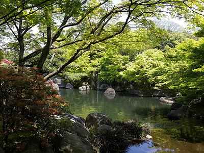 日日式花园池塘园艺绿色岩石石头植物背景图片