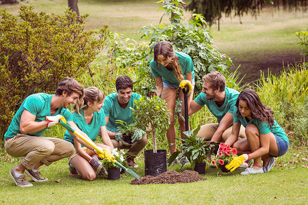 志愿者树素材自然慈善机构高清图片