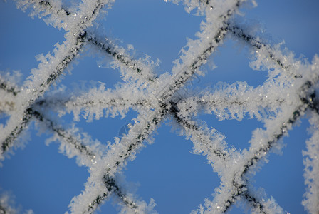 栅栏上的雪冷冻天气冰晶背景图片