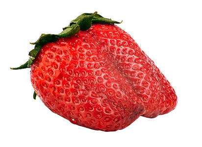 草莓水果枝条浆果背景图片