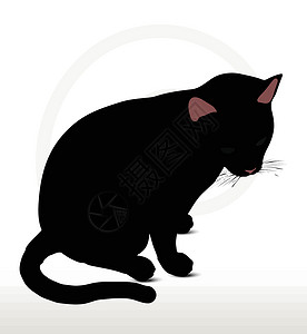 黑猫不睡坐下姿势时的休睡后野猫阴影黑色插图宠物草图猫科动物猎豹冒充狮子插画