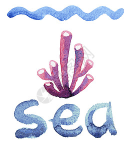 珊瑚贝桥水彩海绵邀请函横幅珊瑚作品旅行季节贝壳标识收藏海藻插画