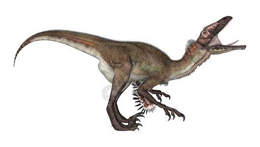 乌塔拉托尔捕食者白色生物怪物荒野恐龙危险食肉动物背景图片