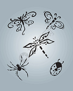 昆虫矢量说明插图瓢虫蜻蜓手绘蜘蛛臭虫背景图片