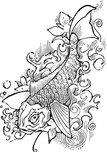 Koi鱼矢量说明锦鲤手绘插图游泳传统动物背景图片