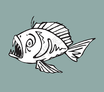 皮兰哈手绘食人鱼矢量插图动物背景图片