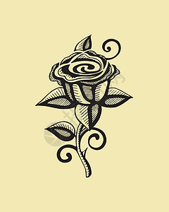 矢量玫瑰花手绘玫瑰植物插图叶子花瓣背景图片