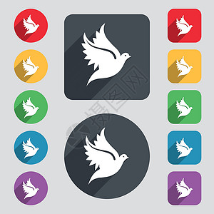 鸽子广场鸽子图标标志 一组 12 个彩色按钮和一个长长的阴影 平面设计 向量插画