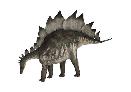 恐龙史地古龙草食性动物爬虫白色生物古生物学水平灭绝怪物背景图片