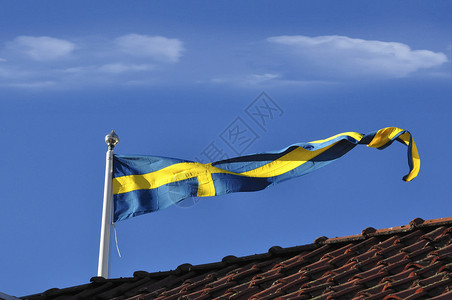 瑞典人对蓝天的笔针背景图片