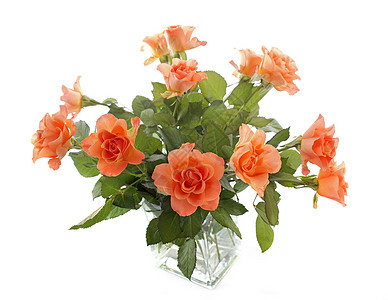 玫瑰花花花瓶橙子工作室花束背景图片