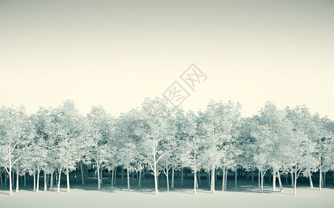 白色背景的森林白白 3d 说明生态植物森林环境背景图片