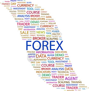 福莱克斯人士专家战略货币课程帐户投资资金利润销售背景图片