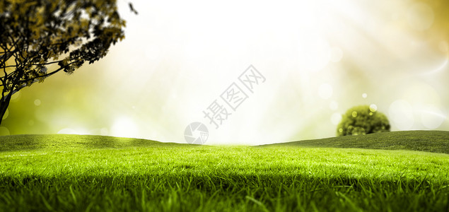 绿草草地辉光绿色背景图片
