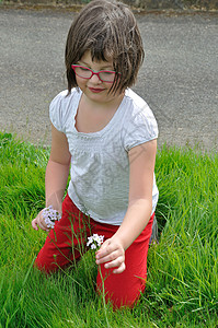 女孩摘花场地国家花朵金发乡村背景图片