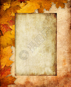 秋秋坎瓦叶子树叶环境帆布背景图片