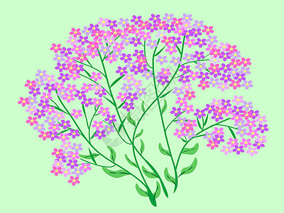 粉色野花鲜花花束背景图片