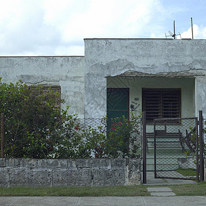 巴拉德罗热带家园前线车站背景