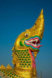 大金色大纳加雕像建筑学动物艺术建筑金子蓝色文化遗产旅游背景图片
