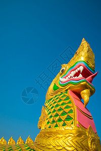 大金色大纳加古董雕像旅游佛教徒金子雕塑建筑学动物蓝色国王背景图片