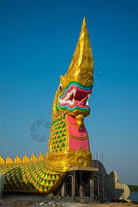 大金色大纳加遗产国王旅行动物佛教徒艺术建筑学文化雕像雕塑背景图片
