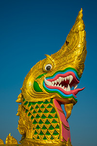 大金色大纳加宗教雕像动物艺术文化雕塑寺庙旅行国王天空背景图片