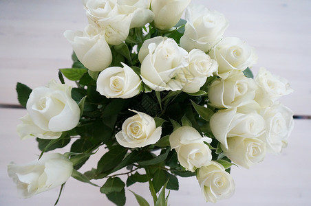 白玫瑰花玫瑰幸福凯尔灯背景图片