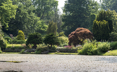 英式花园拥有植物和水池的大型公园花园英语作品园艺土地木头绿色美化树木背景
