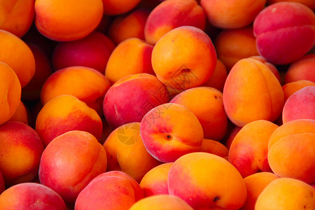 市场上的股票美食营养收成橙子食物水果背景图片