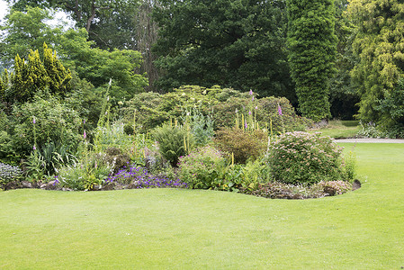 英式花园园中插花和园圃中的花卉作品花园土地英语园艺树木绿色植物美化木头背景