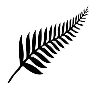 新西兰Silver Fern国家绘画艺术品叶子插图植物艺术背景图片