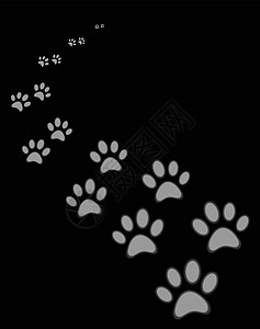 狗或猫爪印计算机人行道小狗猎犬卡通片爪子瘢痕哺乳动物问候语野生动物背景图片