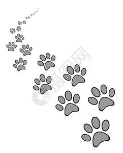 狗或猫爪印掌印黑色打印跑步生活宠物卡通片野外动物脚印人行道背景图片