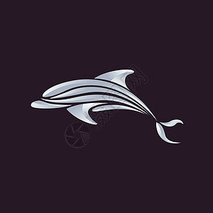 海豚矢量插图海洋白色艺术海浪标识哺乳动物生活蓝色游泳背景图片