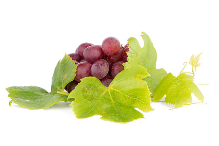 一堆红葡萄生活水滴白色健康饮食水果食物背景图片
