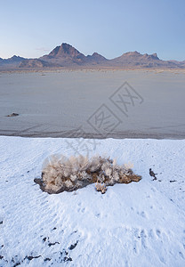 山笔刷素材垂直粉笔刷冻土盐平板 Utah沙漠背景