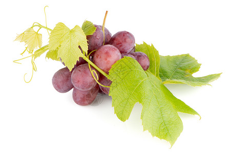 一堆红葡萄水滴食物健康饮食生活水果白色背景图片
