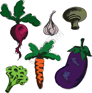 蒜茸拌西兰花彩色绘画蔬菜 矢量插图设计图片